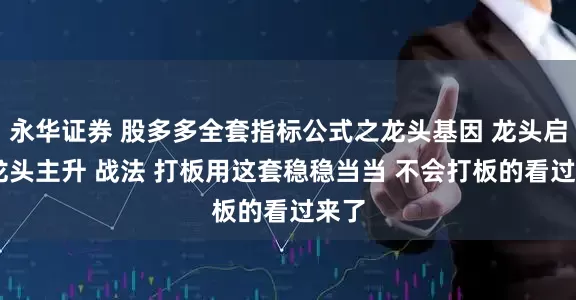 永华证券 股多多全套指标公式之龙头基因 龙头启动 龙头主升 战法 打板用这套稳稳当当 不会打板的看过来了