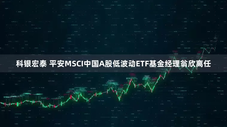 科银宏泰 平安MSCI中国A股低波动ETF基金经理翁欣离任
