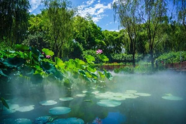 金智股配 薄雾飘散 海淀公园开启“仙境”模式